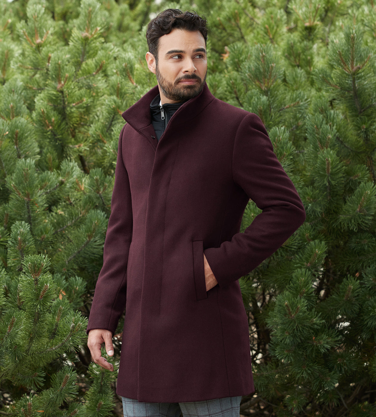 burgundy